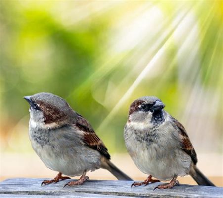  「Three Little Birds」は、温かい陽光と心地よいスウィングが織りなす楽園